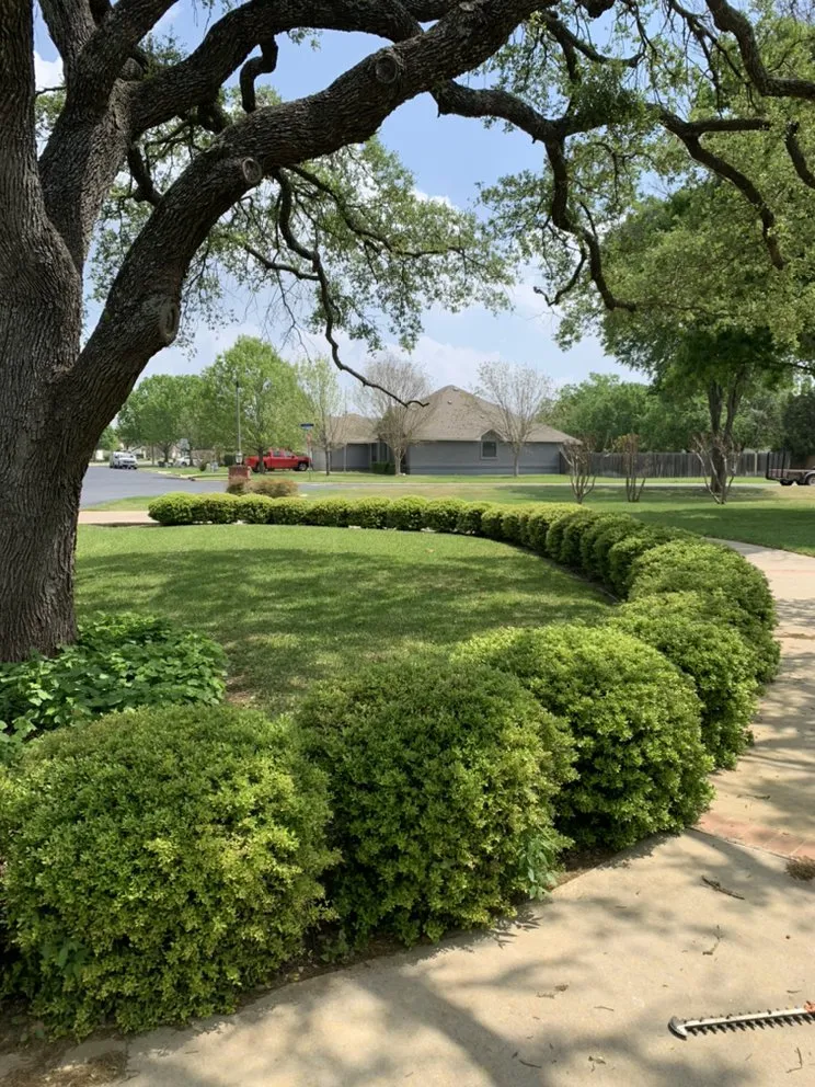 Custom landscaping services in Georgetown, TX - Texas Lawn Service & Landscapes