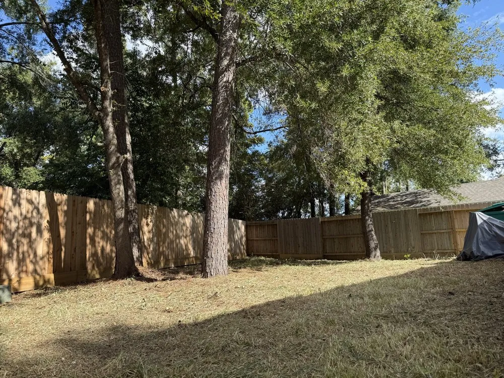 Trusted lawn care service for homes across Houston, TX - Texas Lawn Services