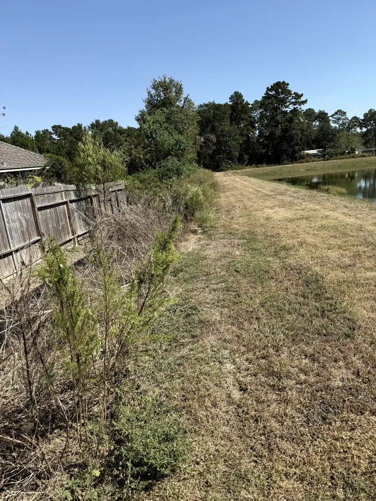 Expert residential landscaping with custom design across Houston, TX - Texas Lawn Services