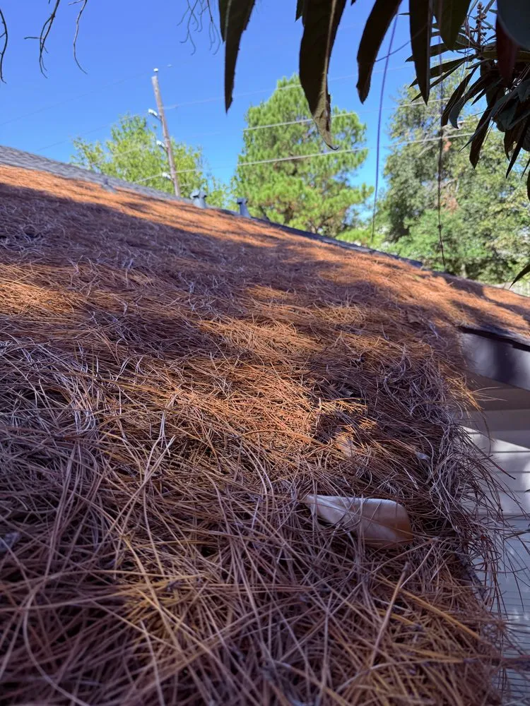 Trusted landscape design for year-round maintenance in Houston, TX by Texas Lawn Services