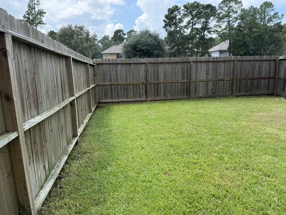 Top-rated yard cleanup service experts serving Houston, TX - Texas Lawn Services