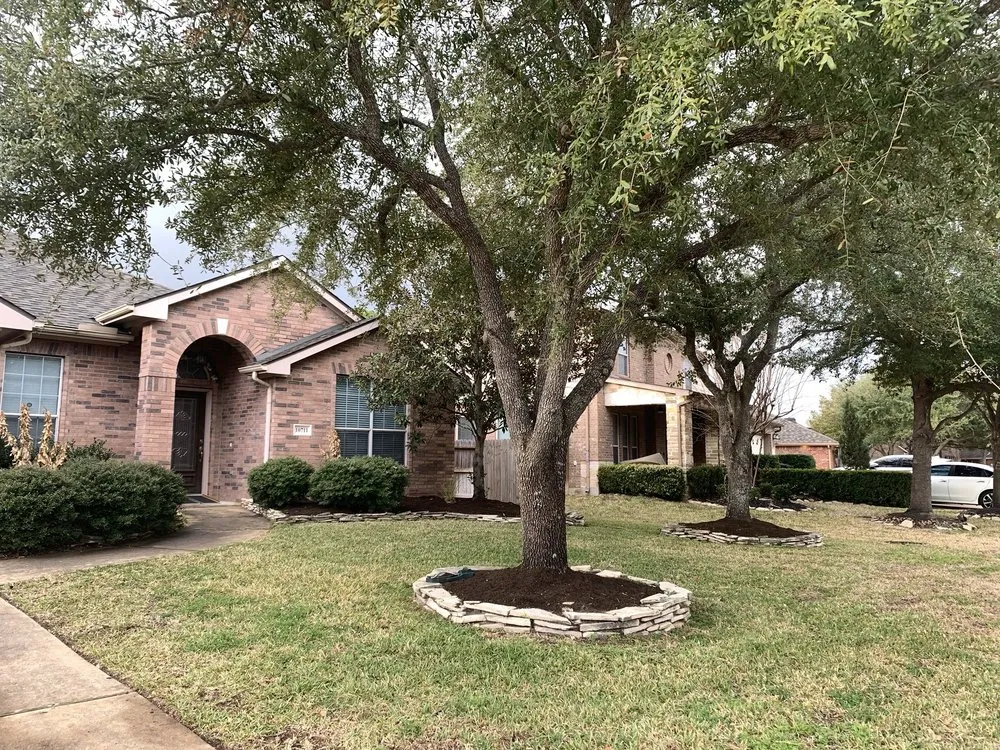 Top-rated yard maintenance experts serving Houston, TX - Texas Lawn Services