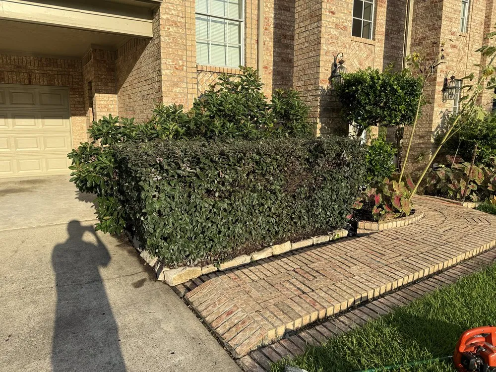 Top-rated garden landscaping near you across Houston, TX - Texas Lawn Services