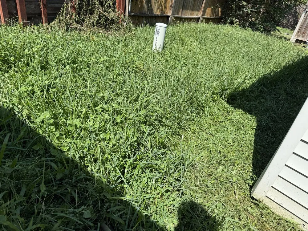 Custom garden landscaping experts serving Houston, TX - Texas Lawn Services