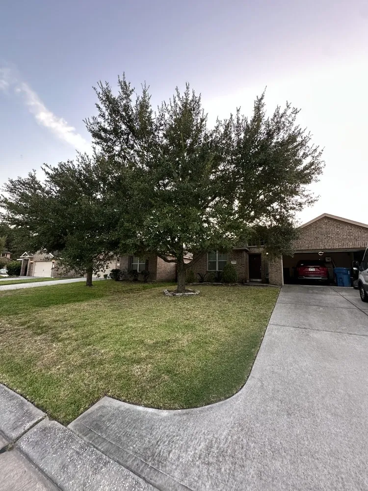 Custom outdoor landscaping with custom design in Houston, TX by Texas Lawn Services