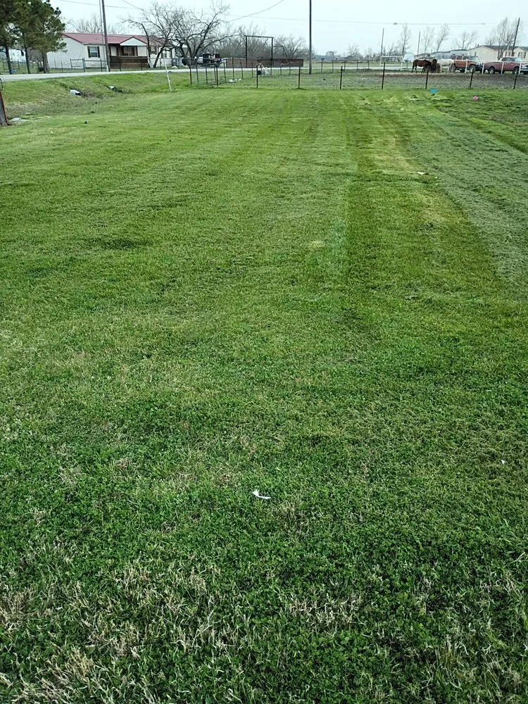 Affordable yard cleanup service near you across Kaufman, TX - Texas Lawn Services