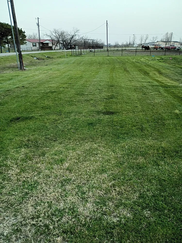 Reliable garden landscaping in Kaufman, TX by Texas Lawn Services