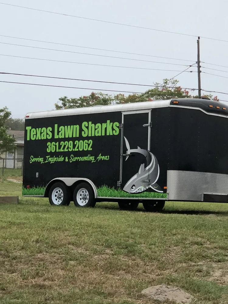 Affordable lawn care service in Ingleside, TX by Texas Lawn Sharks
