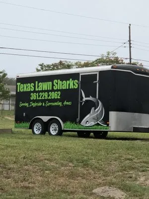 Texas Lawn Sharks