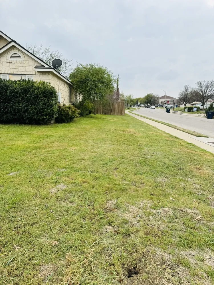 Custom outdoor landscaping with custom design across Leander, TX - Texas Lawn Solutions