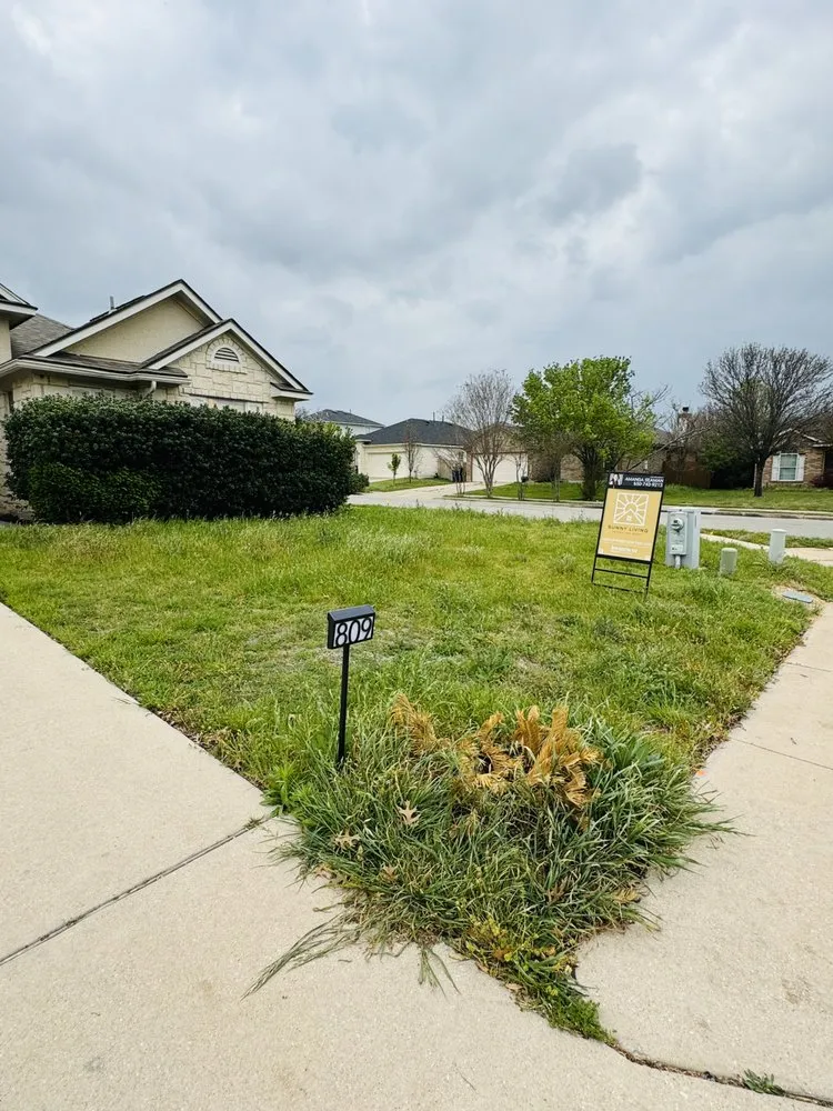 Affordable landscaping services in Leander, TX by Texas Lawn Solutions