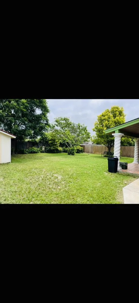 Affordable lawn mowing service experts serving Leander, TX - Texas Lawn Solutions