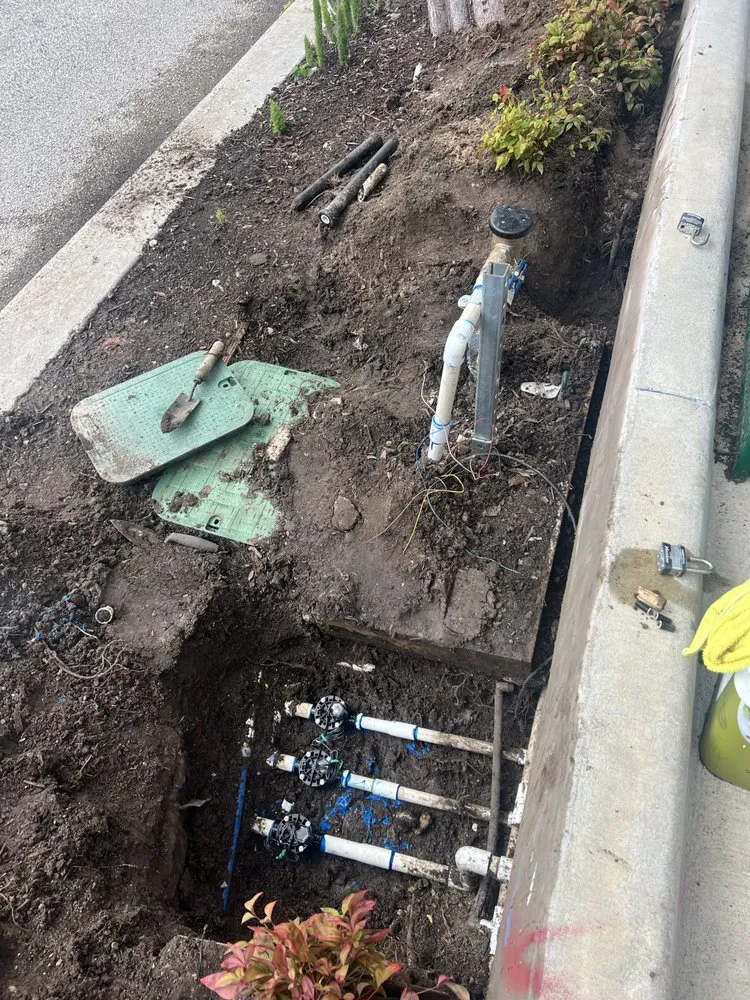 Reliable residential landscaping in Houston, TX - Texas Lawn Star Landscaping