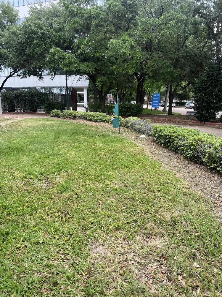 Affordable landscape design for outdoor upgrades across Houston, TX - Texas Lawn Star Landscaping