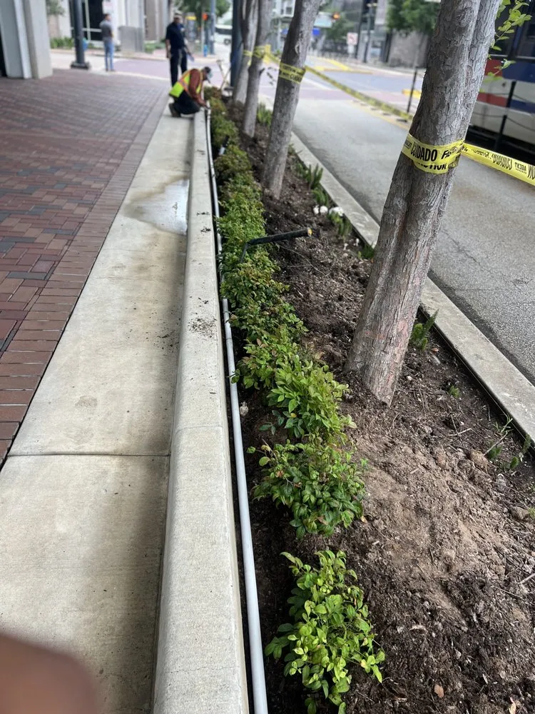 Local residential landscaping near you across Houston, TX - Texas Lawn Star Landscaping