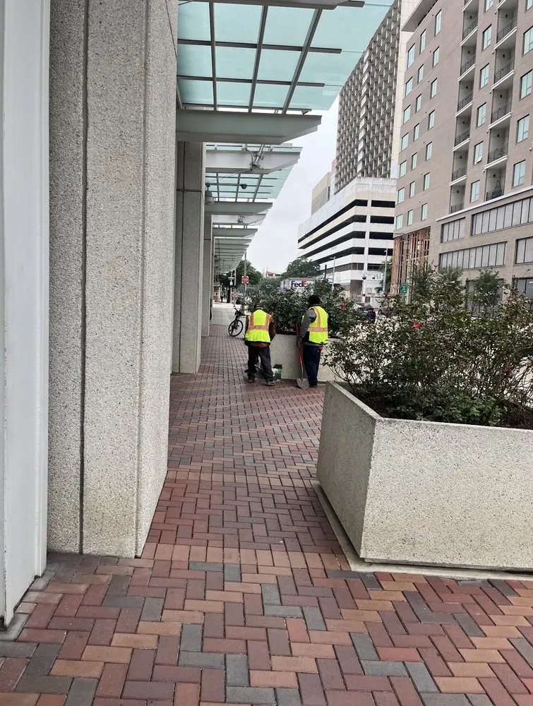 Professional residential landscaping for outdoor upgrades across Houston, TX - Texas Lawn Star Landscaping