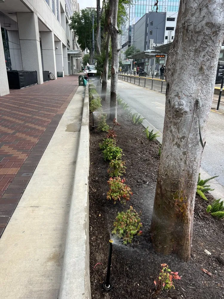 Local outdoor landscaping in Houston, TX - Texas Lawn Star Landscaping