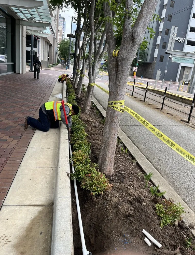 Local lawn mowing service in Houston, TX - Texas Lawn Star Landscaping