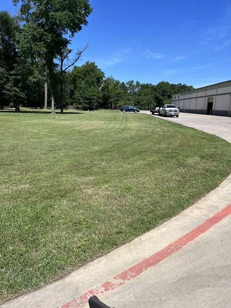 Affordable landscaping services for outdoor upgrades in Houston, TX by Texas Lawn Star Landscaping