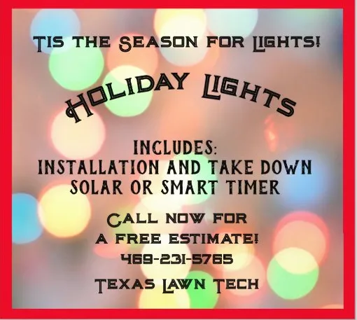 Professional landscape installation for year-round maintenance in Wylie, TX by Texas Lawn Tech