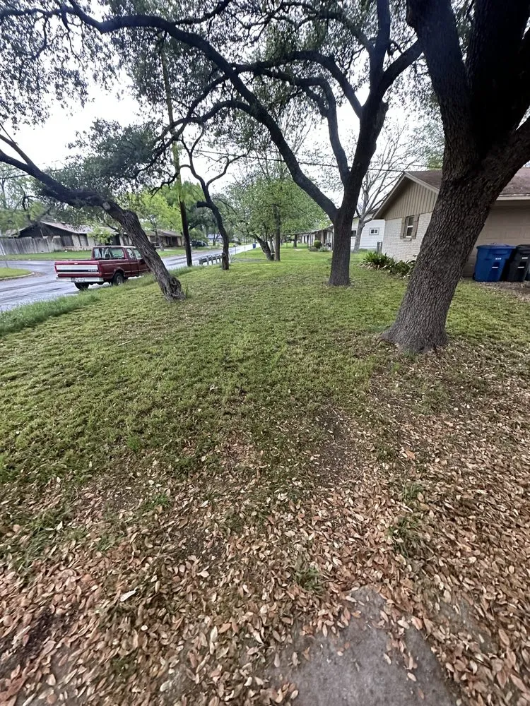 Reliable lawn mowing service in San Antonio, TX by Texas Lawnman Yard & Commercial