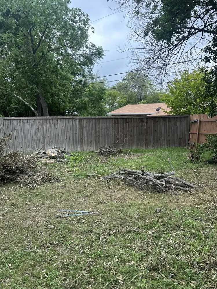 Professional landscape design in San Antonio, TX by Texas Lawnman Yard & Commercial