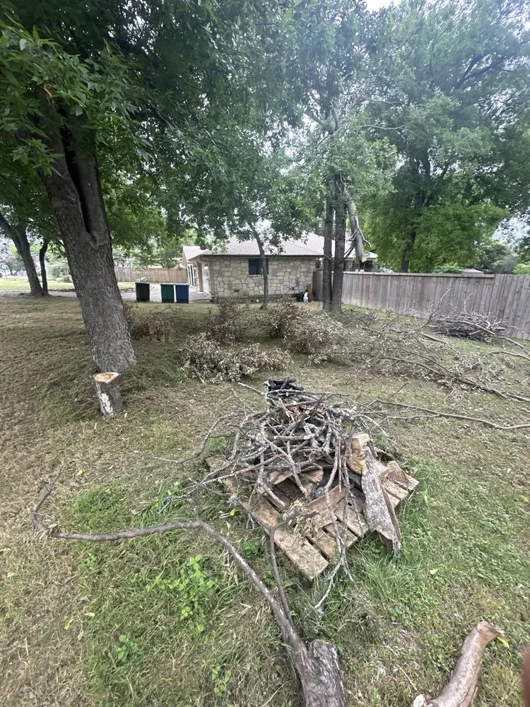 Affordable lawn care service experts serving San Antonio, TX - Texas Lawnman Yard & Commercial