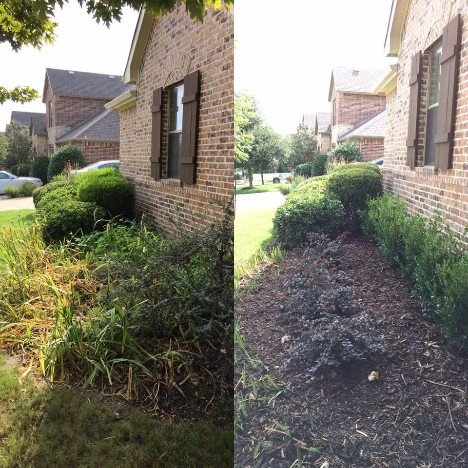 Expert lawn mowing service in Mckinney, TX by Texas Lawnscapes