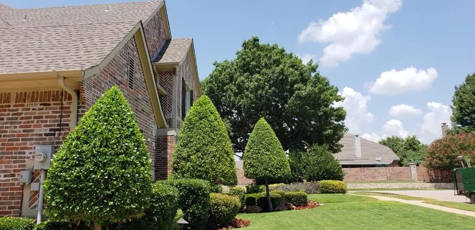 Custom yard cleanup service in Mckinney, TX - Texas Lawnscapes