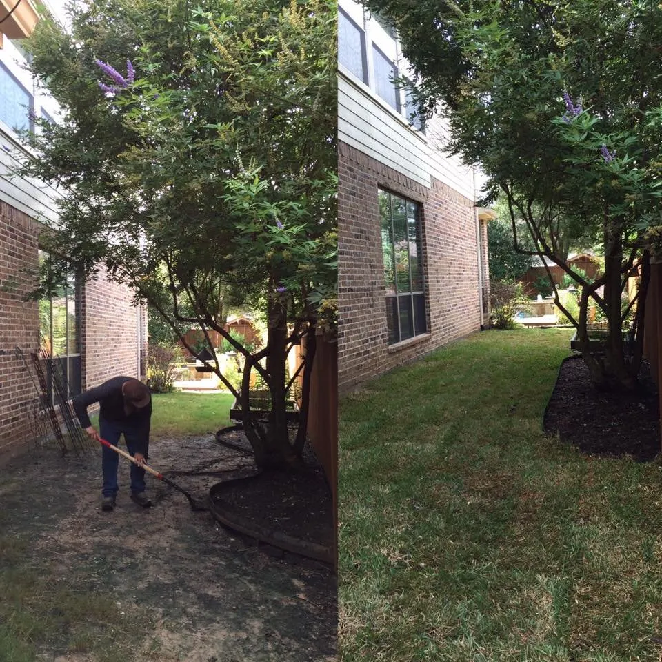 Trusted yard maintenance for year-round maintenance in Mckinney, TX by Texas Lawnscapes