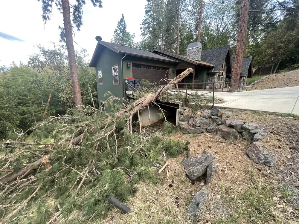 Professional landscape design in Justin, TX by Texas Living Landscapes