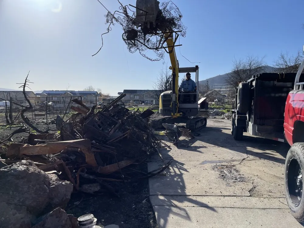 Professional landscape design experts serving Justin, TX - Texas Living Landscapes