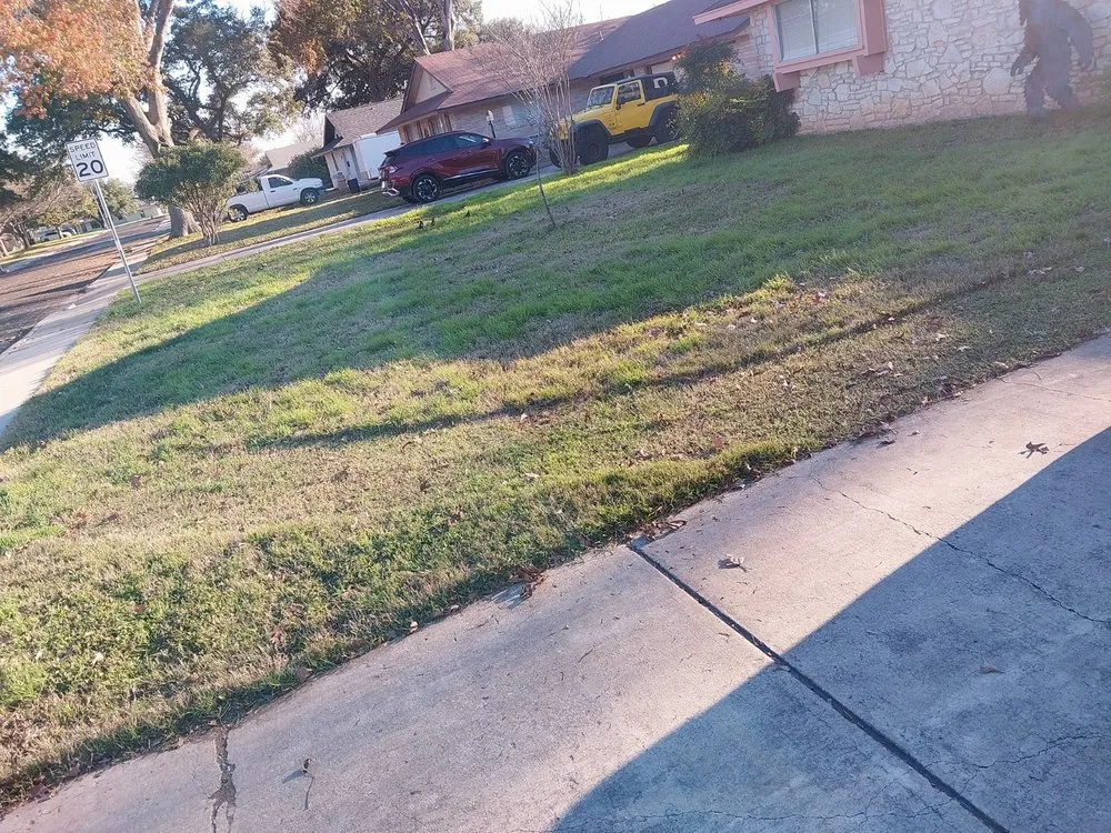 Professional lawn care service for beautiful yards across San Antonio, TX - Texas Made Solutions