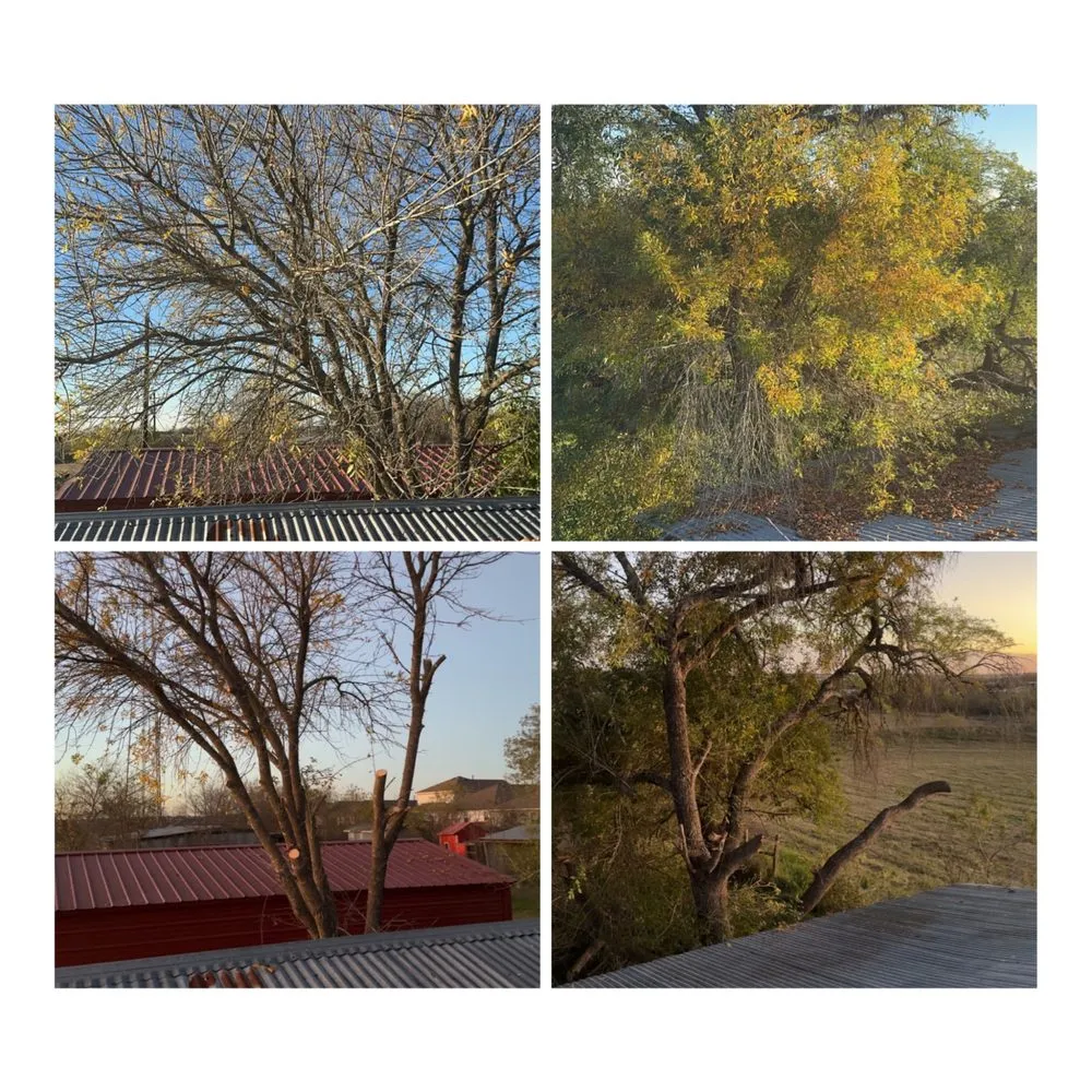 Expert landscape installation near you in San Antonio, TX by Texas Made Solutions