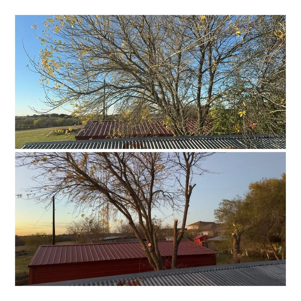 Top-rated landscaping services near you across San Antonio, TX - Texas Made Solutions