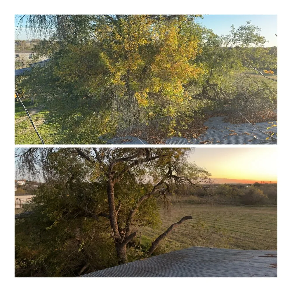 Trusted landscape design for outdoor upgrades in San Antonio, TX by Texas Made Solutions