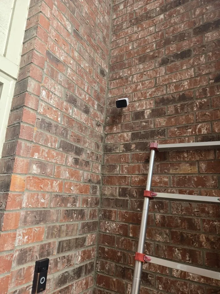 Trusted garden landscaping for beautiful yards in Wylie, TX by Texas Maintenance Partners