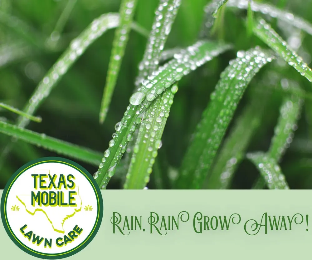 Professional landscaping services near you across San Antonio, TX - Texas Mobile Lawn Care