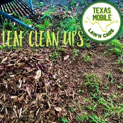 Professional garden landscaping experts serving San Antonio, TX - Texas Mobile Lawn Care