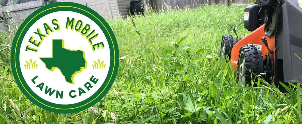 Local yard cleanup service in San Antonio, TX - Texas Mobile Lawn Care