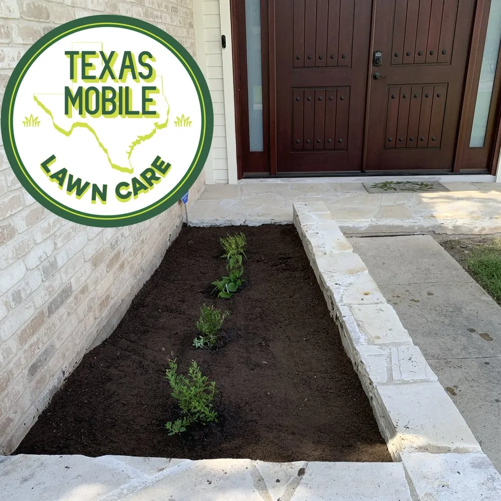 Top-rated yard cleanup service in San Antonio, TX by Texas Mobile Lawn Care