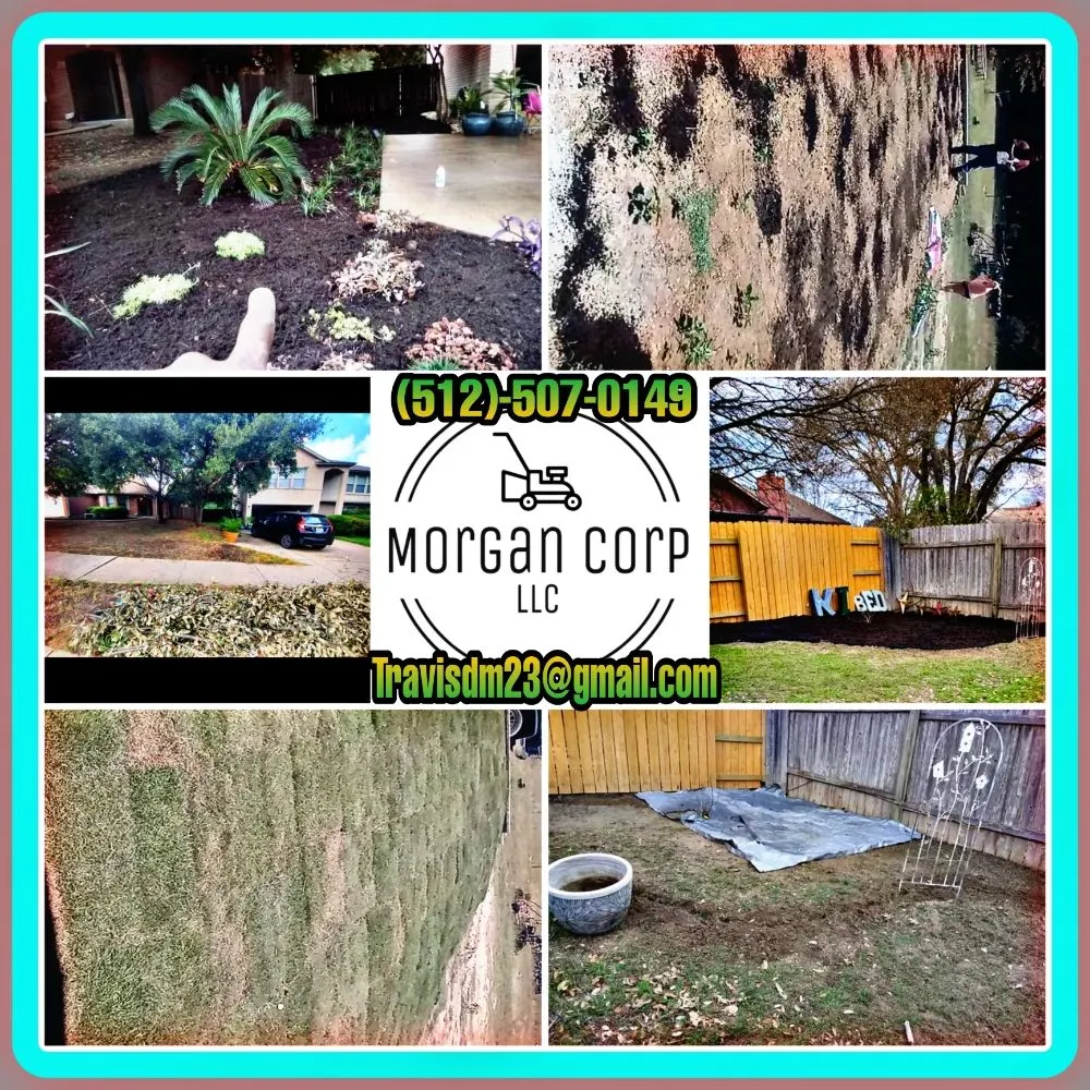 Top-rated landscape design for beautiful yards in Belton, TX by Texas Morgan's