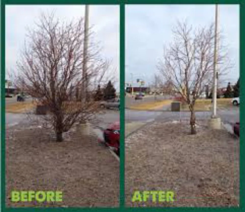 Local yard maintenance with custom design in Belton, TX by Texas Morgan's