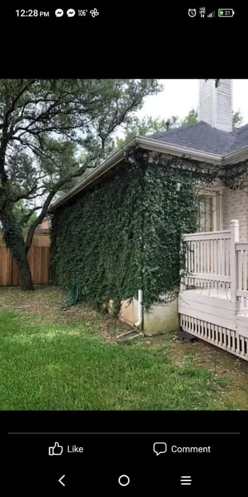 Custom lawn mowing service in Belton, TX by Texas Morgan's