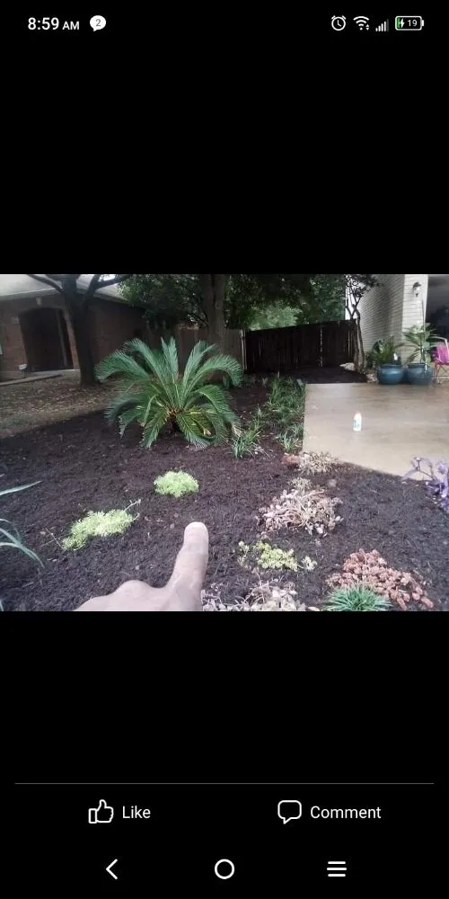 Expert lawn mowing service experts serving Belton, TX - Texas Morgan's