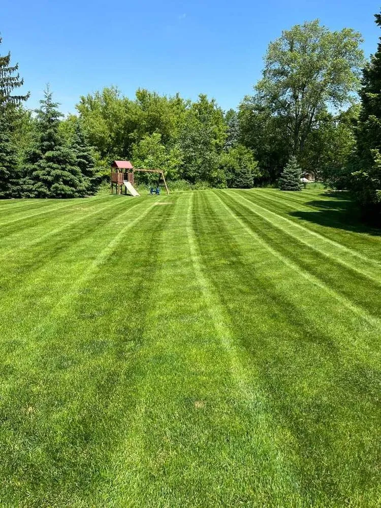 Local lawn care service in Magnolia, TX by Texas Mow