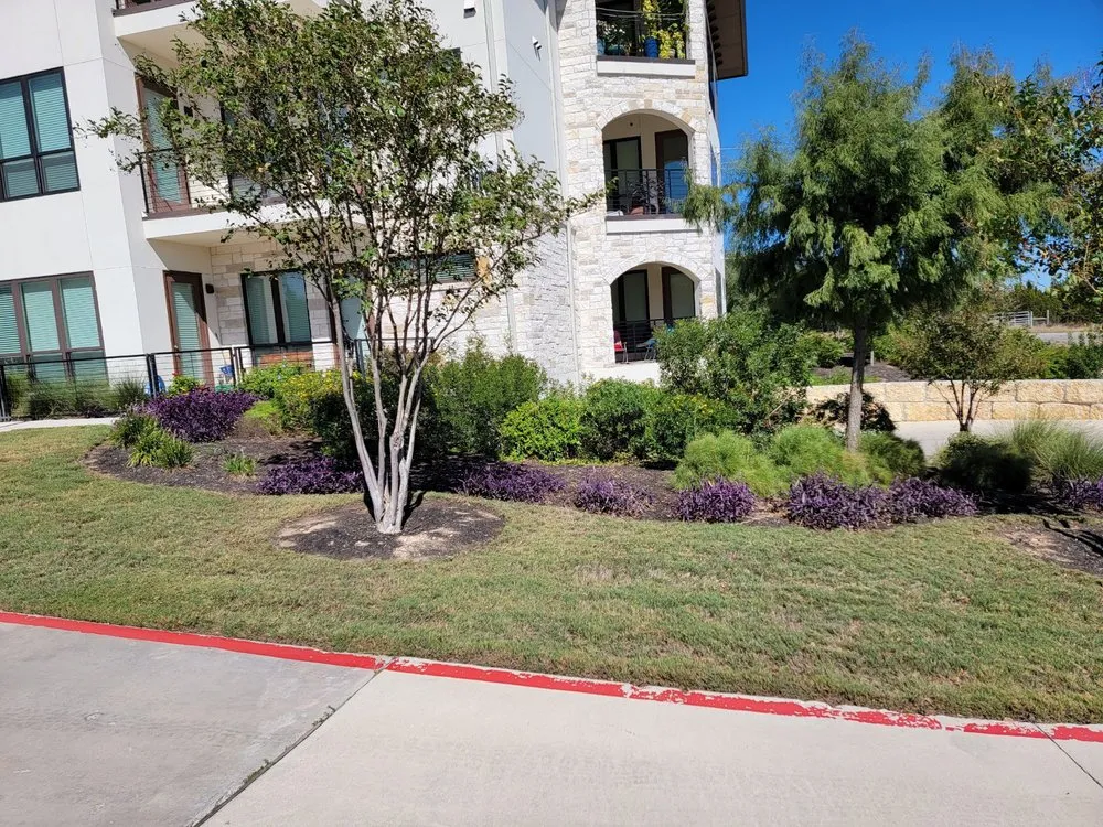 Expert landscape design for beautiful yards in Spicewood, TX by Texas Native Environmental
