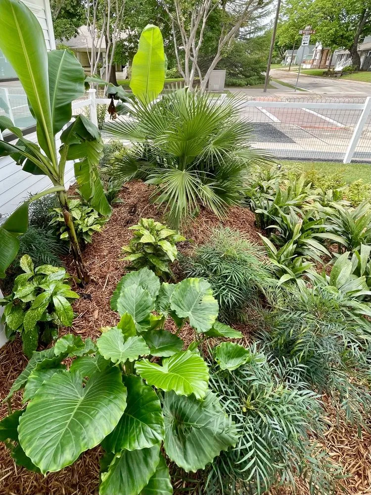 Trusted lawn mowing service in Denton, TX - Texas Nativescapes