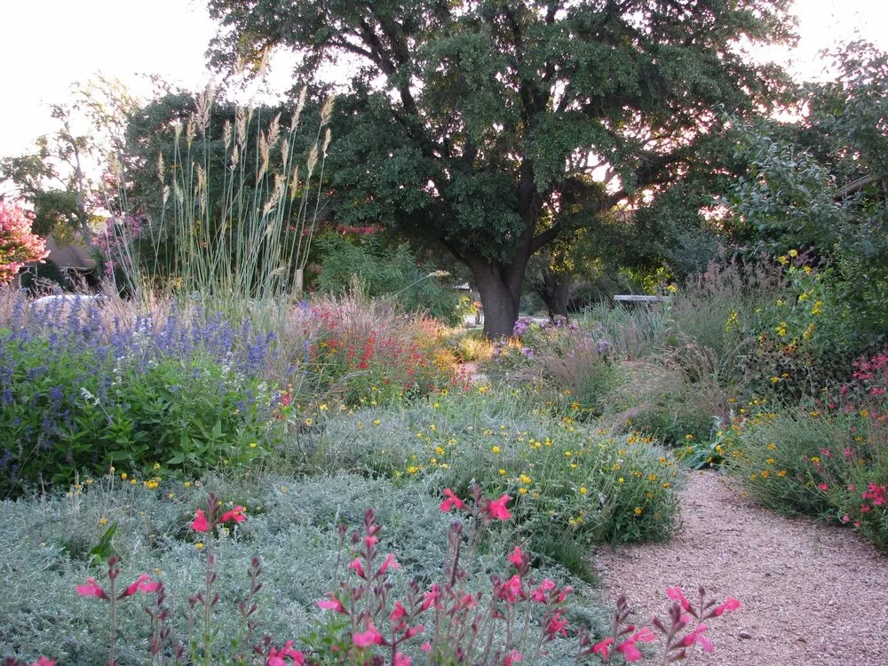 Affordable yard cleanup service near you in Denton, TX by Texas Nativescapes