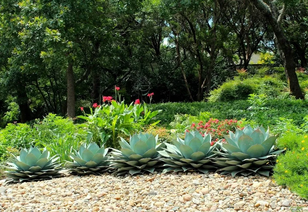 Reliable outdoor landscaping for residential properties across Denton, TX - Texas Nativescapes